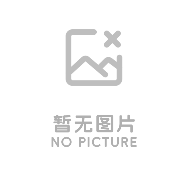 软件开发